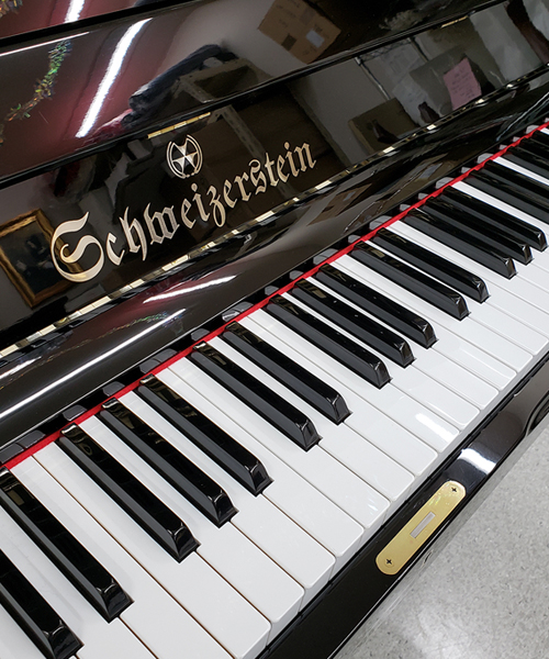 シュバイツァスタイン SS131E