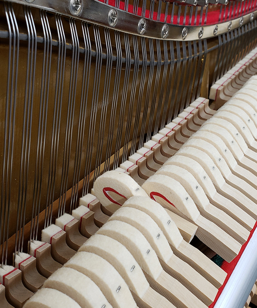 シュバイツァスタイン SS131E