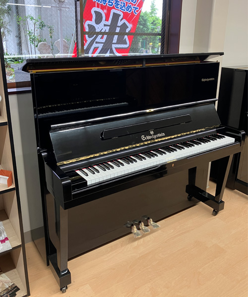 シュバイツァスタイン SS131E