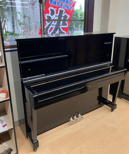 シュバイツァスタイン SS131E