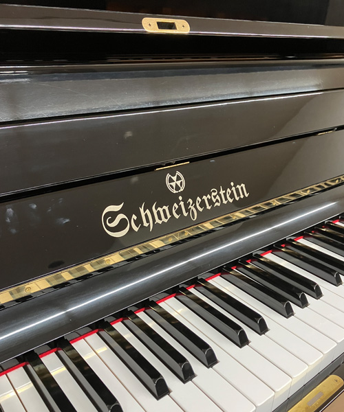 シュバイツァスタイン SS131E