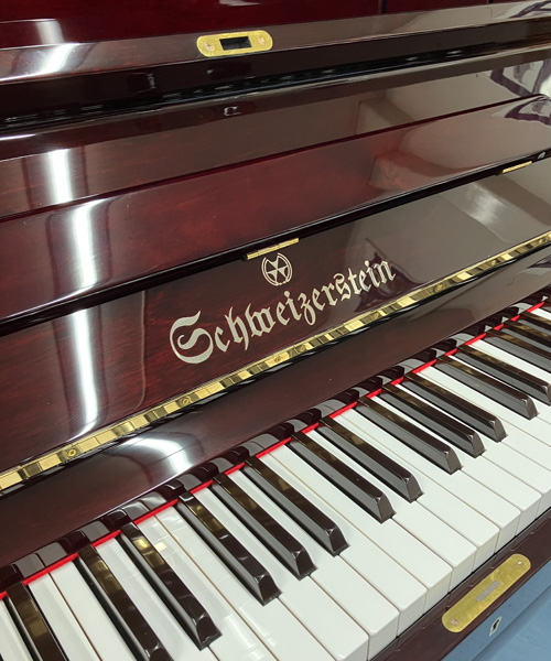 シュバイツァスタイン SS133DMC