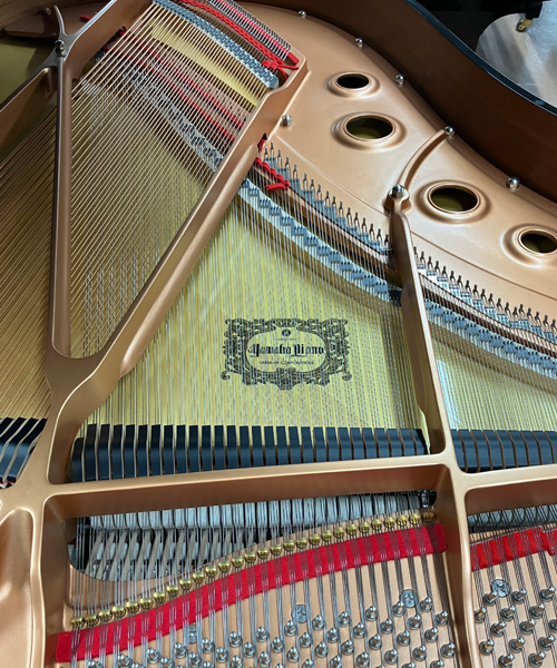 ヤマハ C3Xespressivo